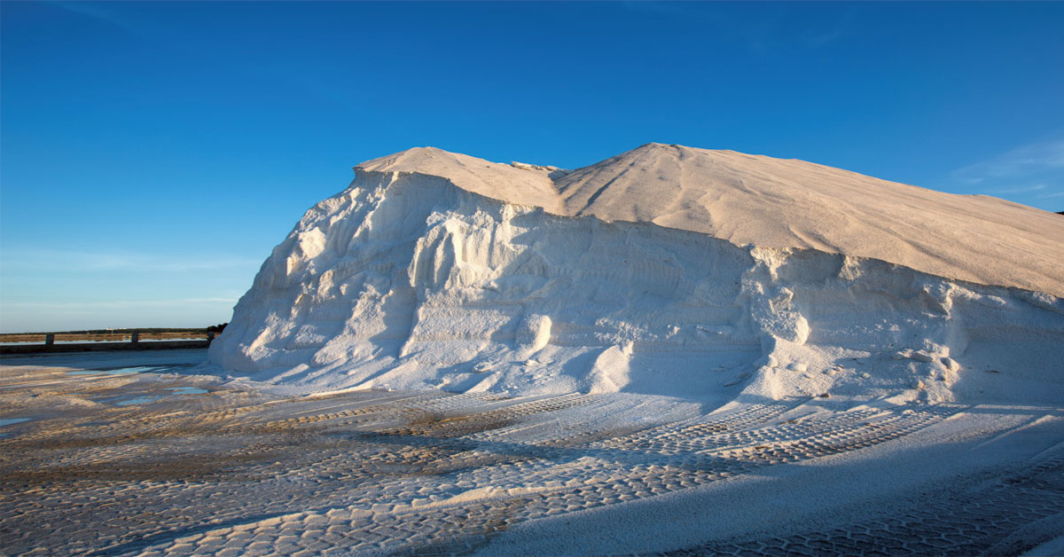 las salinas de ibiza