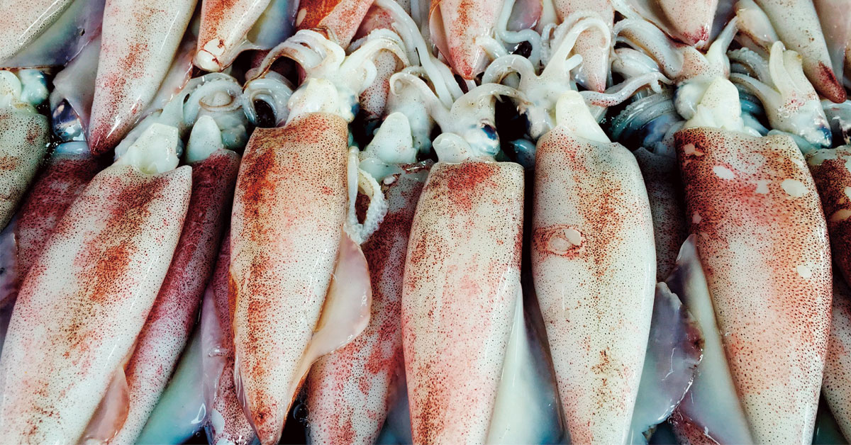 calamares en fira des calamar de ibiza