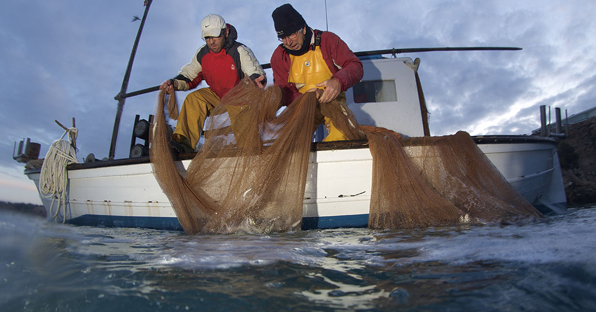 pescadors de peix nostrum pescant al mar