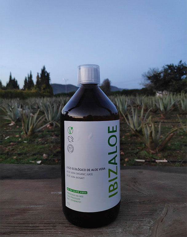 aloe vera ibiza 2