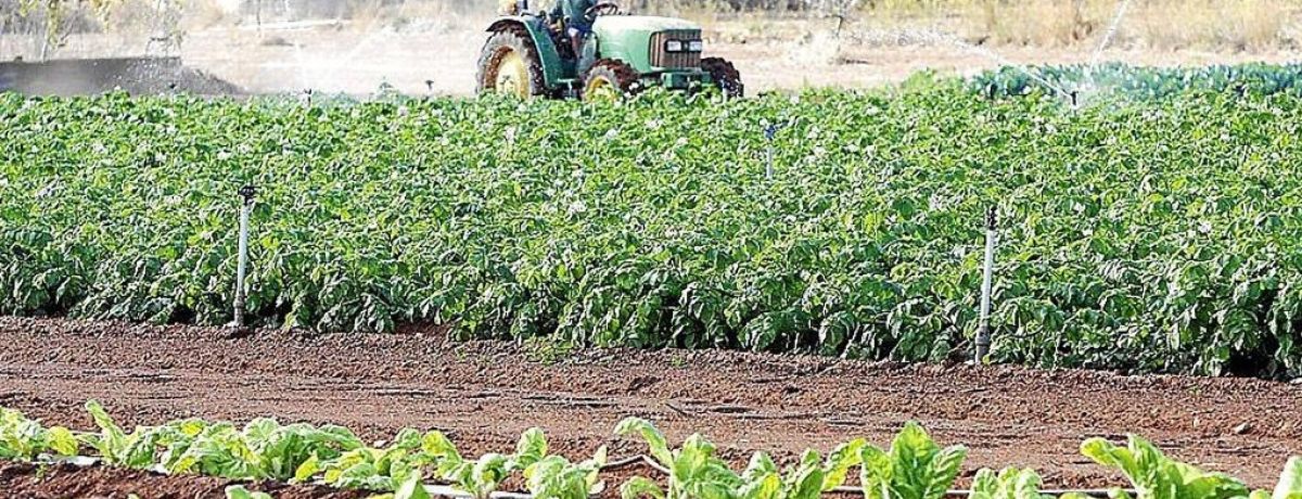 Agricultura ecológica